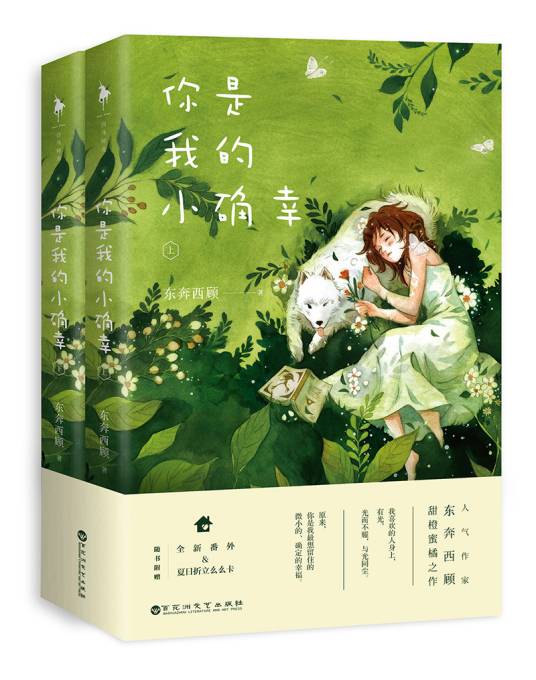 你是我的小确幸（2017年百花洲文艺出版社出版的图书）