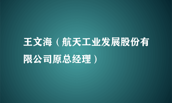 王文海（航天工业发展股份有限公司原总经理）