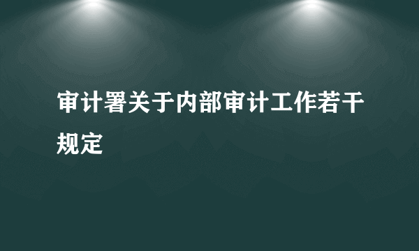 审计署关于内部审计工作若干规定