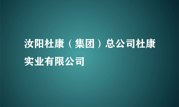 汝阳杜康（集团）总公司杜康实业有限公司