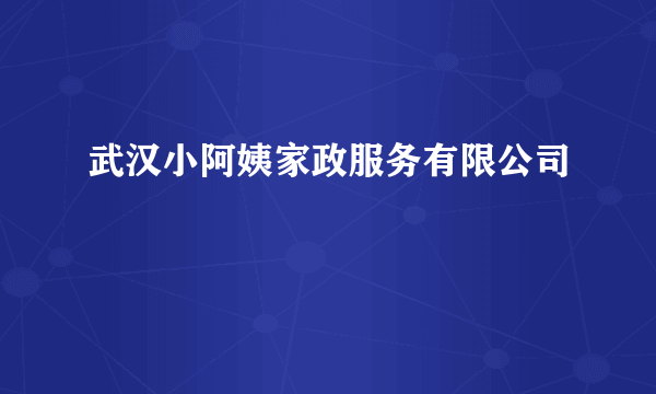 武汉小阿姨家政服务有限公司