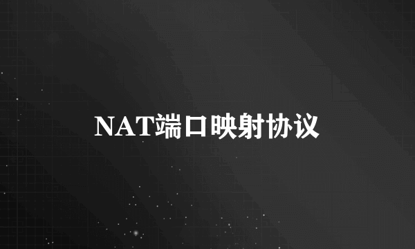 NAT端口映射协议