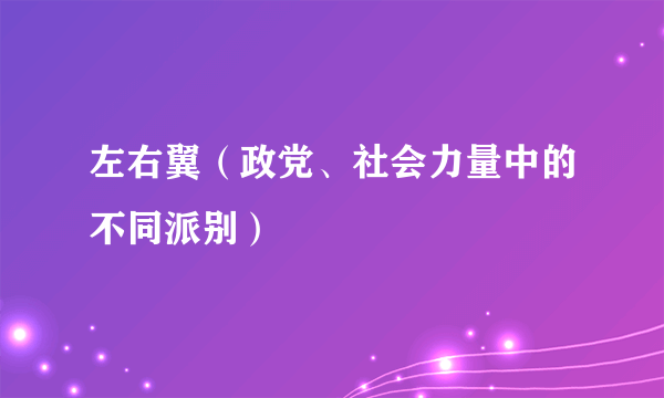 左右翼（政党、社会力量中的不同派别）