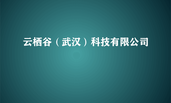 云栖谷（武汉）科技有限公司