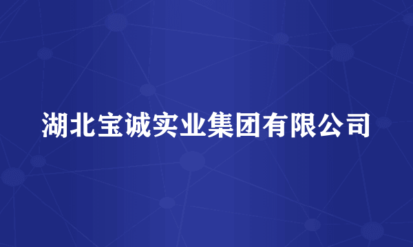 湖北宝诚实业集团有限公司