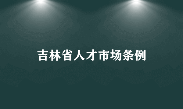 吉林省人才市场条例