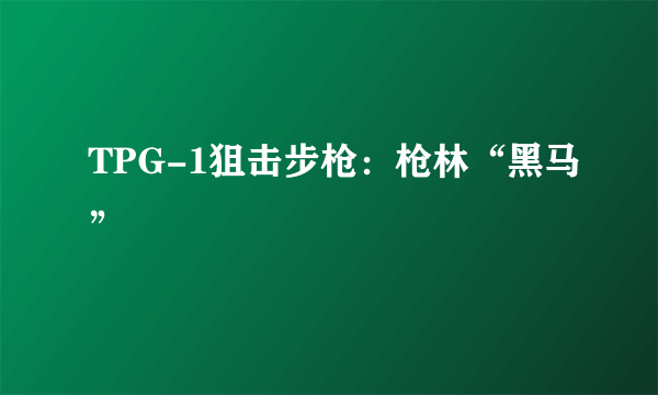 TPG-1狙击步枪：枪林“黑马”