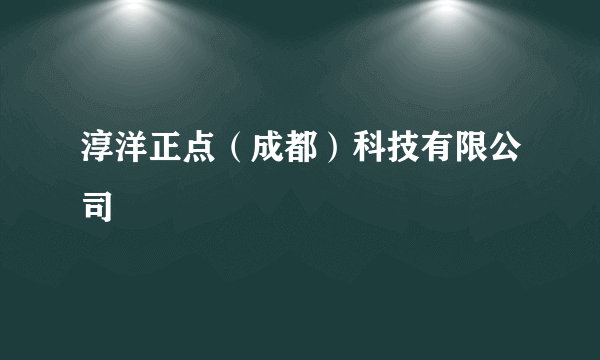 淳洋正点（成都）科技有限公司