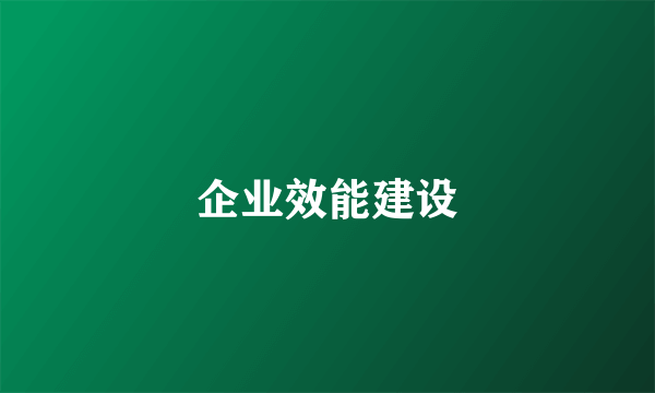 企业效能建设