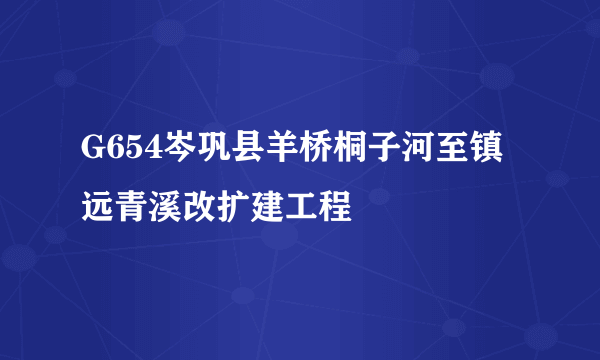 G654岑巩县羊桥桐子河至镇远青溪改扩建工程