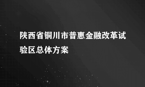 陕西省铜川市普惠金融改革试验区总体方案