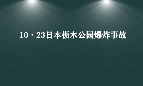 10·23日本枥木公园爆炸事故