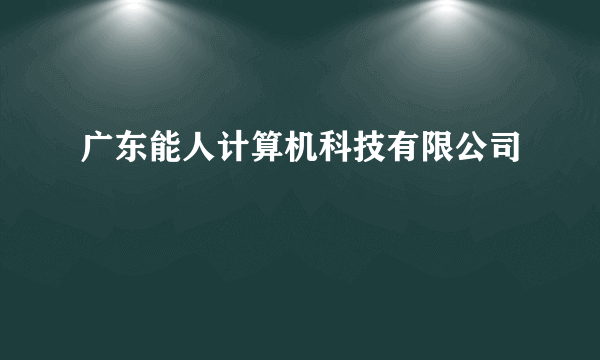 广东能人计算机科技有限公司