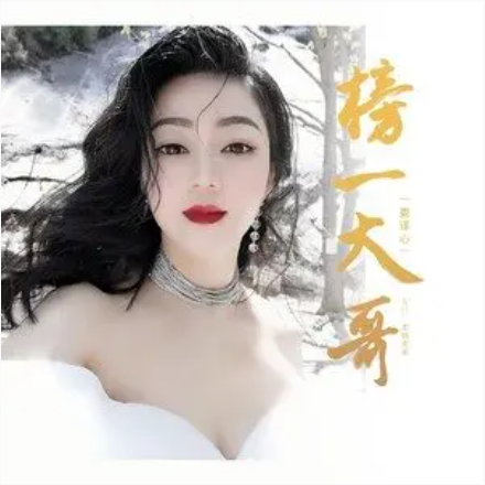 榜一大哥（娄译心演唱单曲）