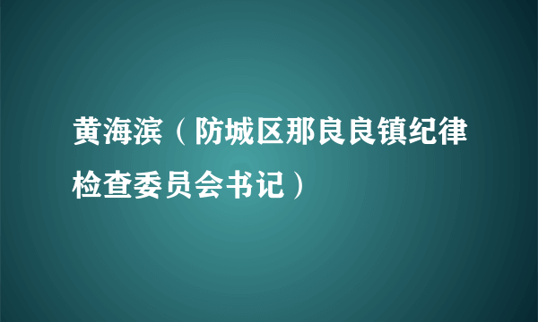 黄海滨（防城区那良良镇纪律检查委员会书记）