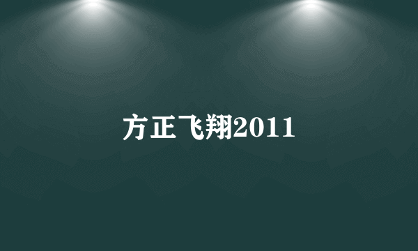 方正飞翔2011