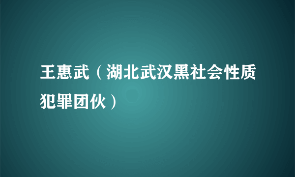 王惠武（湖北武汉黑社会性质犯罪团伙）