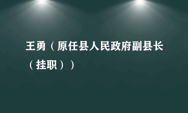 王勇（原任县人民政府副县长（挂职））