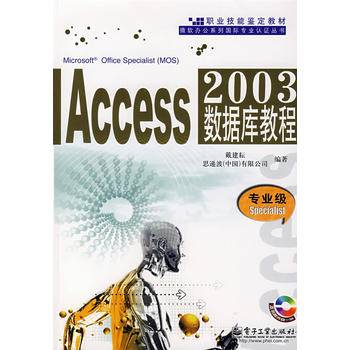 Access2003数据库教程