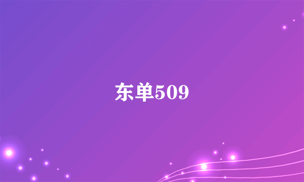 东单509