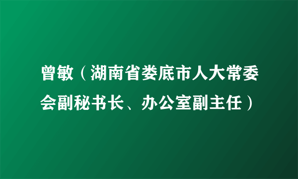 曾敏（湖南省娄底市人大常委会副秘书长、办公室副主任）