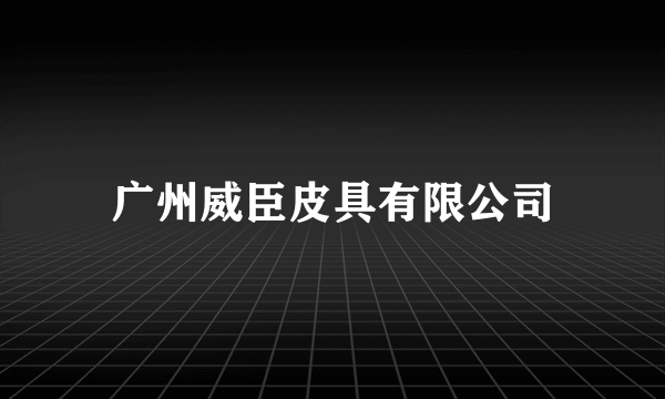 广州威臣皮具有限公司