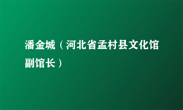 潘金城（河北省孟村县文化馆副馆长）