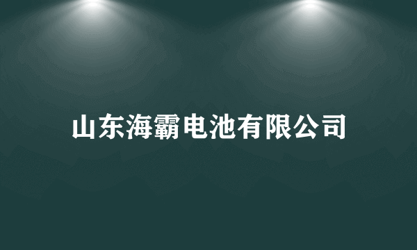 山东海霸电池有限公司