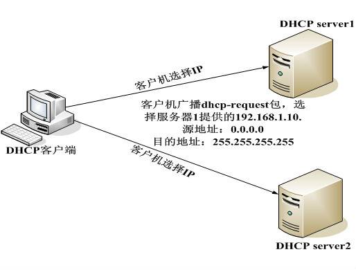 DHCP客户机