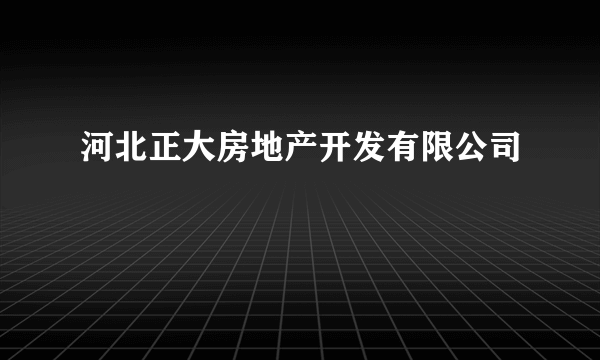 河北正大房地产开发有限公司