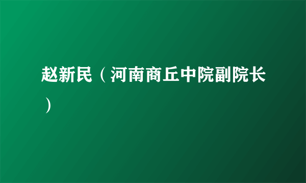 赵新民（河南商丘中院副院长）