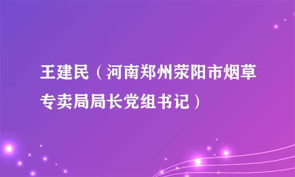 王建民（河南郑州荥阳市烟草专卖局局长党组书记）