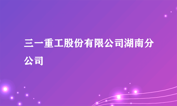 三一重工股份有限公司湖南分公司