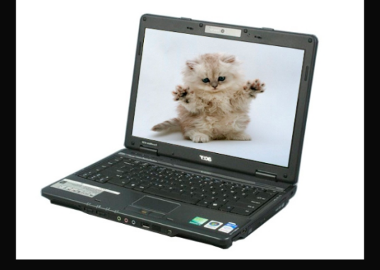 Acer 4330