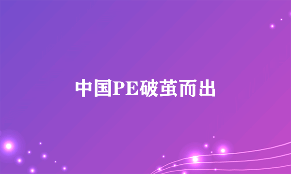 中国PE破茧而出