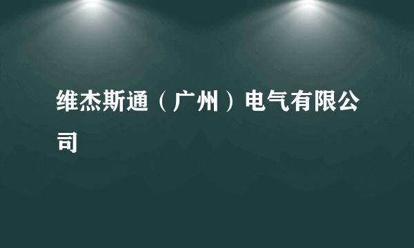 维杰斯通（广州）电气有限公司