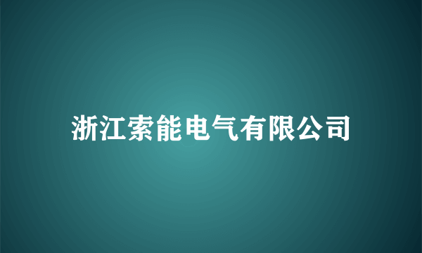 浙江索能电气有限公司