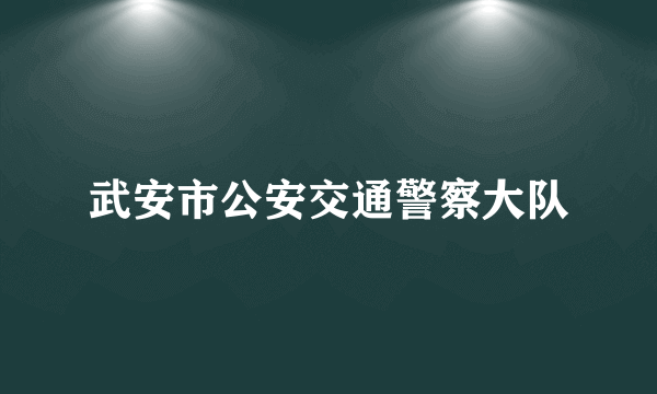 武安市公安交通警察大队