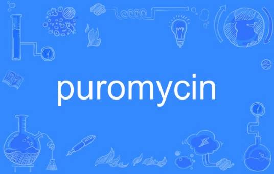 puromycin