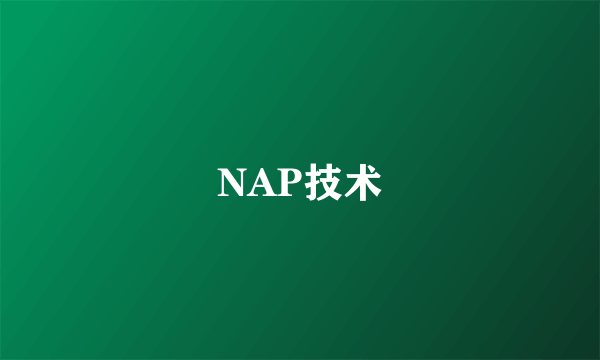 NAP技术