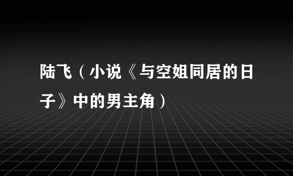 陆飞（小说《与空姐同居的日子》中的男主角）