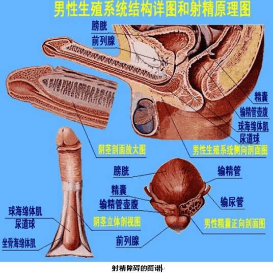 射精困难