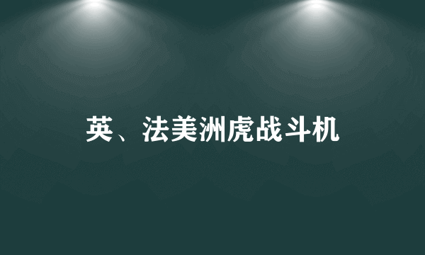 英、法美洲虎战斗机