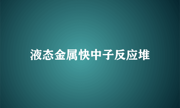 液态金属快中子反应堆