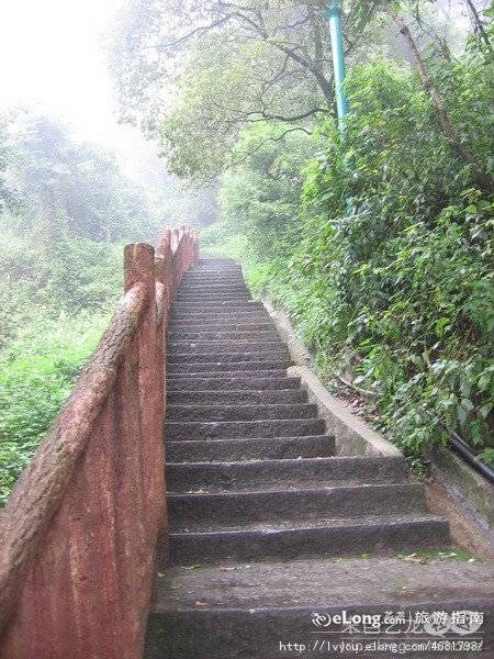 那条道上的风景线