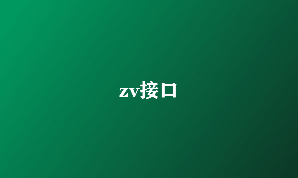 zv接口