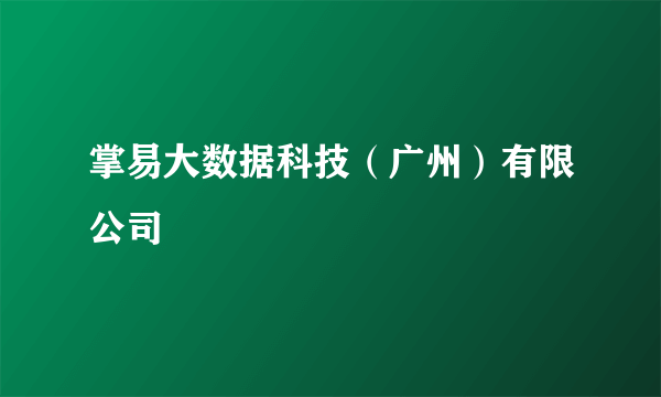 掌易大数据科技（广州）有限公司