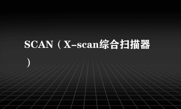 SCAN（X-scan综合扫描器）