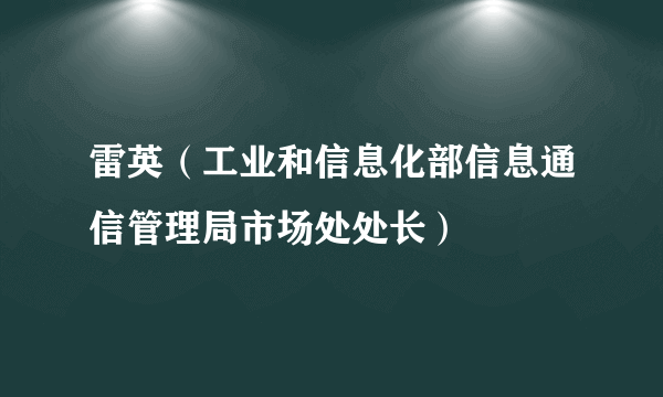 雷英（工业和信息化部信息通信管理局市场处处长）