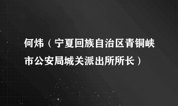 何炜（宁夏回族自治区青铜峡市公安局城关派出所所长）